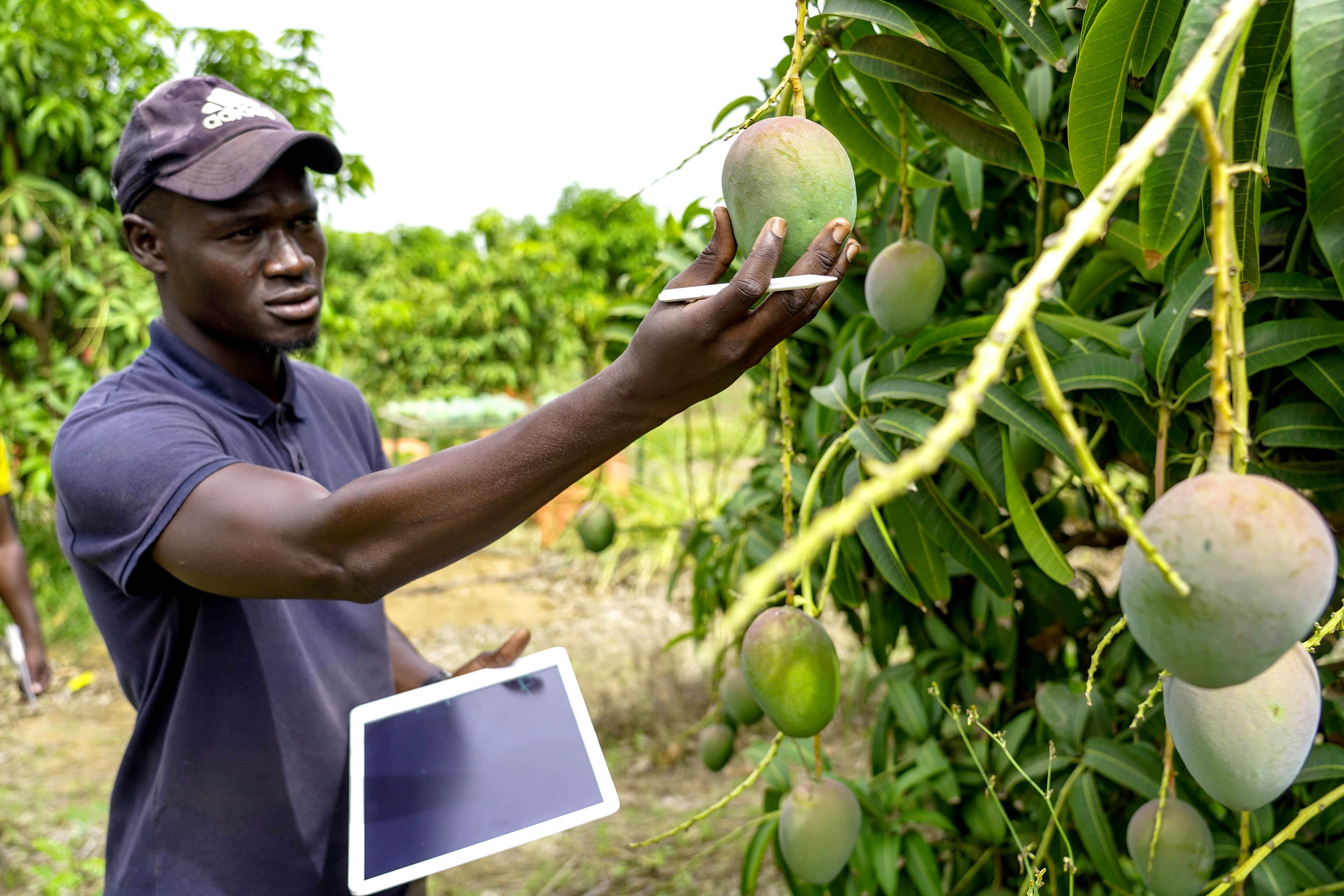 Agronomist